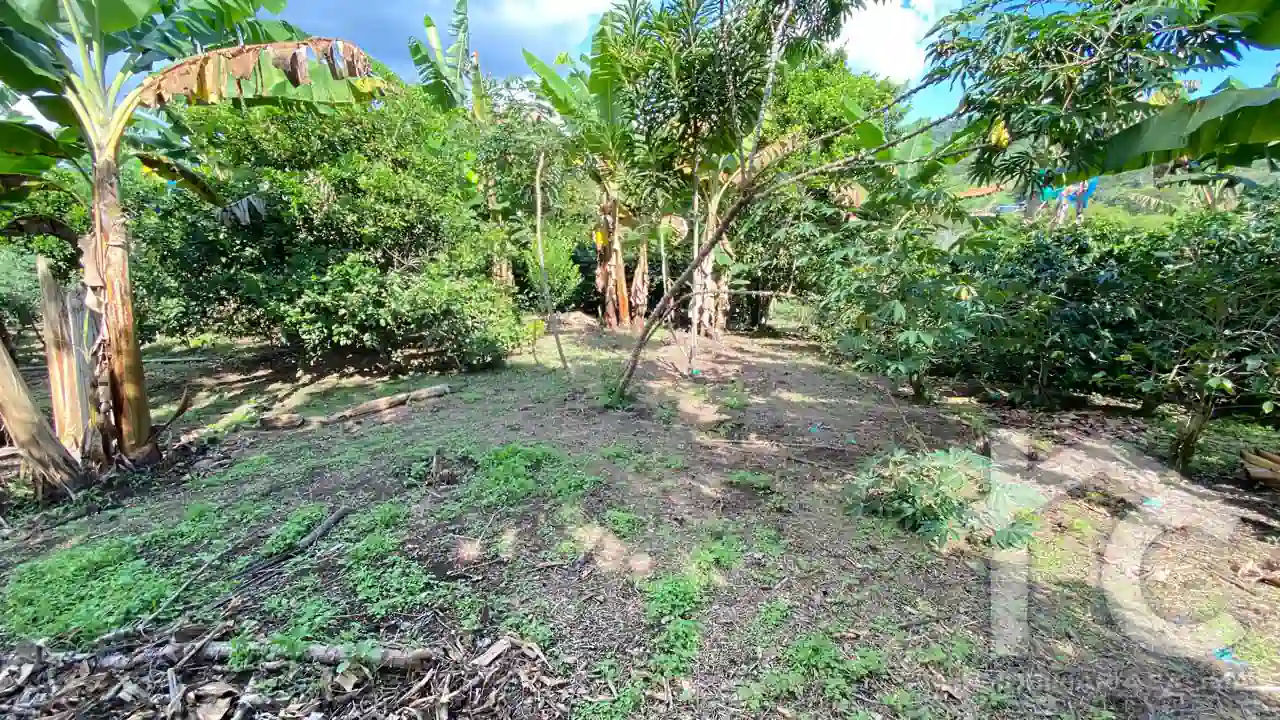 Finca Agrícola La Galaxia